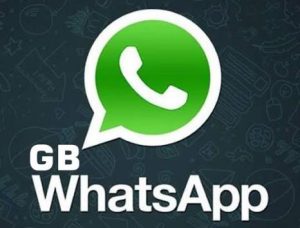 Maximize Your Privacy with Baixar GB WhatsApp Settings